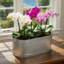 Refroidisseur de baignoire ovale de 18 po Hosley. Pot à fleurs de jardin Idéal pour les arrangements floraux de jardin de patio