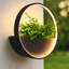 pot de plantes d'extérieur