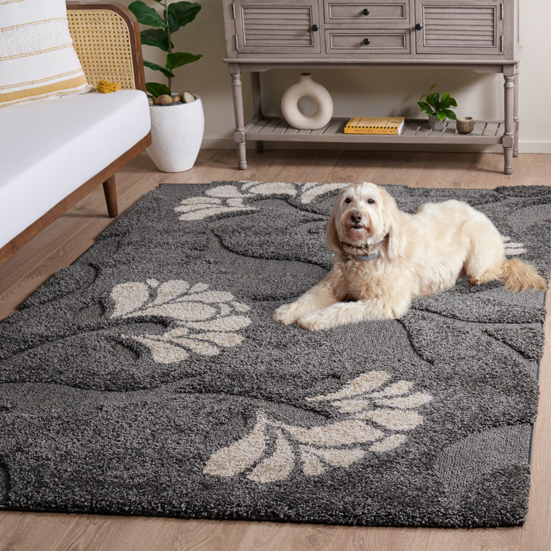 Tapis gris / beige Chanhassen, Rectangle 5 pi 3 po x 7 pi 6 po