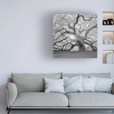 Art mural sur toile tendue - «The Tree Square-BW 2» par Moises Levy pour décoration de salon, de chambre à coucher ou de bureau - 18 x 18