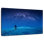 Alvord Starlit Night Climbing