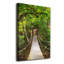 Suspension Bridge In The Forest - Wrapped Canvas Print