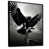 Black Floater Framed selected
