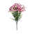 Rose est en rupture de stock