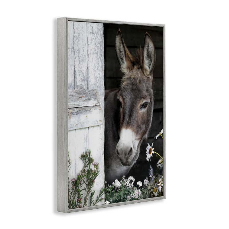 «Gentle Donkey Peering» par Barn Design Giclee, conception de CAD Designs, H 24 po x l 16 po, Giclée de ferme grise encadrée