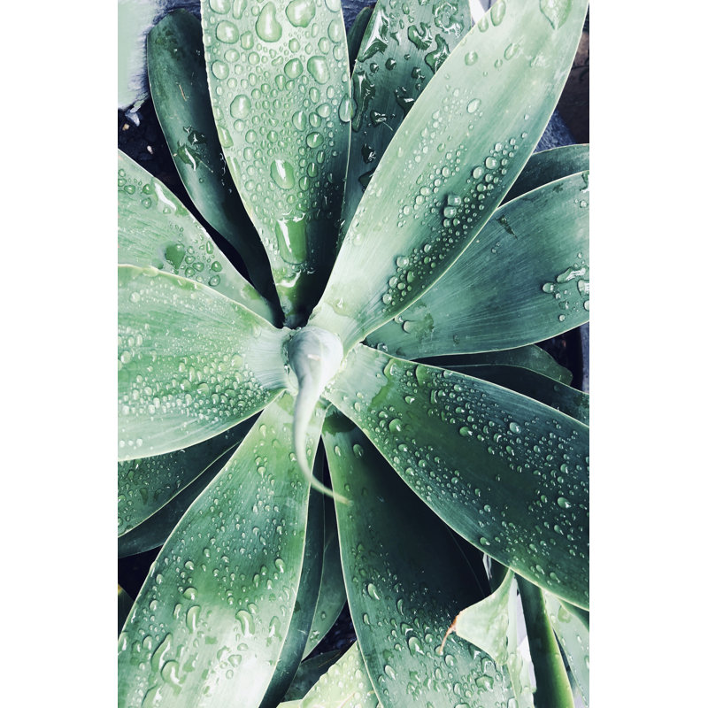 Vert succulent tropical vert III, H 30 po x l 20 po x P 1,25 po