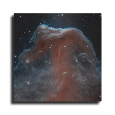  'Horsehead Nebula' by NASA's Hubble Space Telescope Metal Wall Art