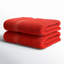 Renata 800 GSM 2 Piece Egyptian-Quality Cotton Bath Towel Set-283630603