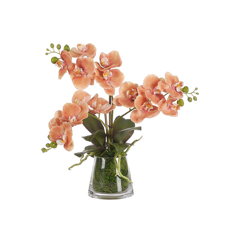 Real-Touch Orchid Phal, Orange, Moss Glass Vase