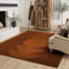 Luna Sienna Area Rug-70970134