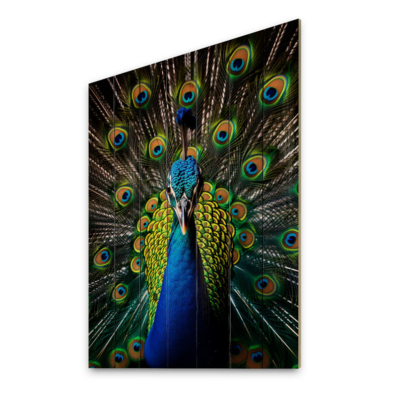 Paon bleu sarcelle rayonnant sur bois, H 32 po x l 24 po x P 0,78 po