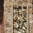 Ammaria 75'' H x 22'' W Polyvinyl Chloride (PVC) Lattice Panel Trellis-493323619