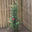 Roneshia 64.2" H x 10.2" W Plastic Coated Metal Obelisk Trellis