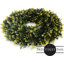 Couronne de verdure de porte d'entrée-63658157-136073439-128837937