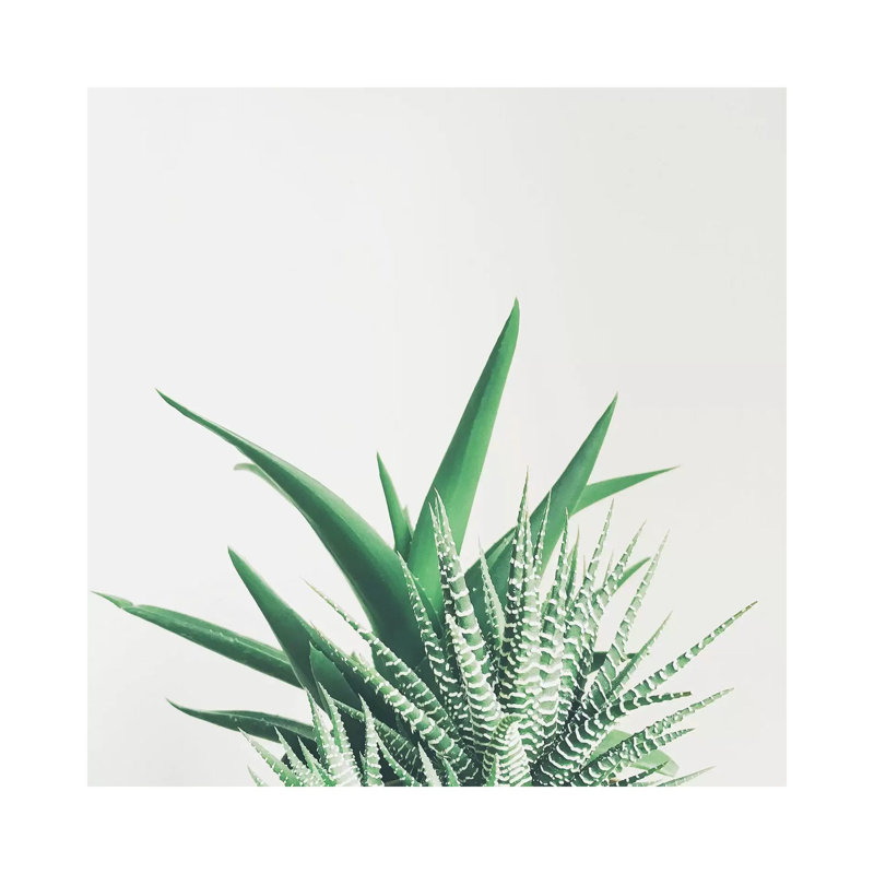 Overlap 1 Piece Wrapped Canvas Wall Art, 45.72 cm H x 45.72 cm W x 1.91 cm D