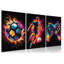 Framed Print on Canvas