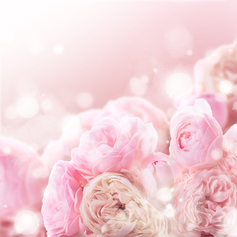 «Pink Roses Bunch» - Photographie sur toile tendue, H 12 po x l 12 po