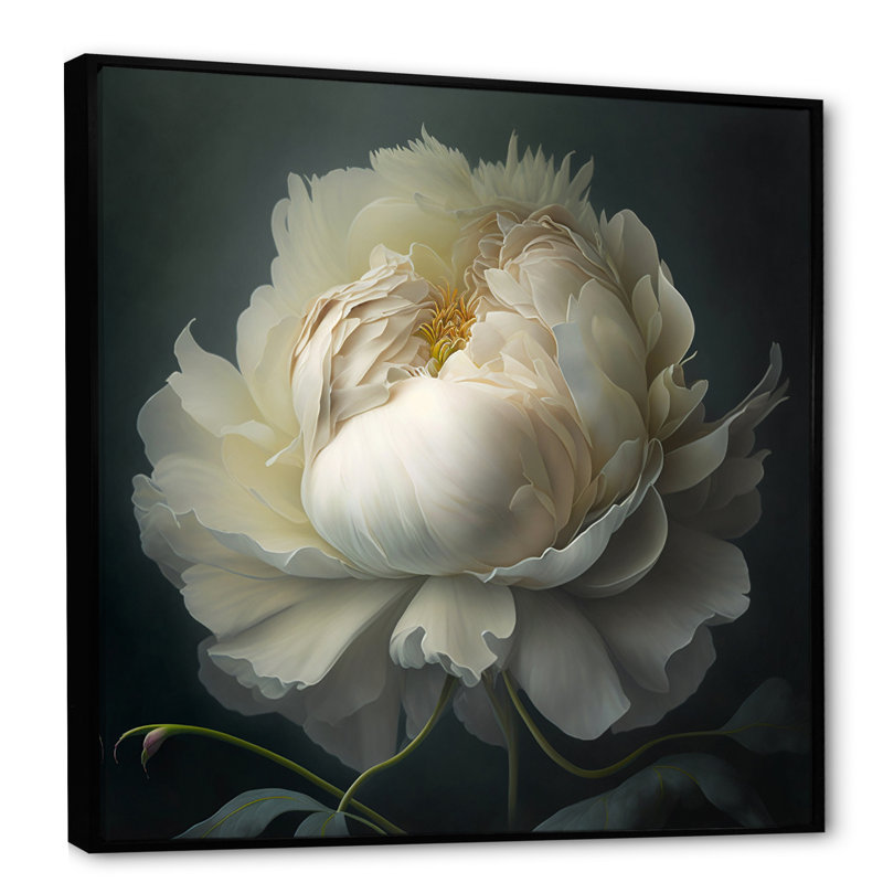 White Blossoming Peony On Black I - Peony Wall Art, 30" H x 30" W, Floater Framed, Black