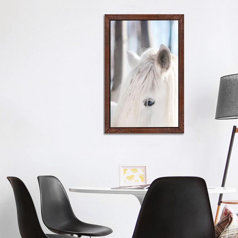 White Horse by Chelsea Victoria - Print on Canvas, 66.04 cm H x 45.72 cm W, Brown Floater Framed