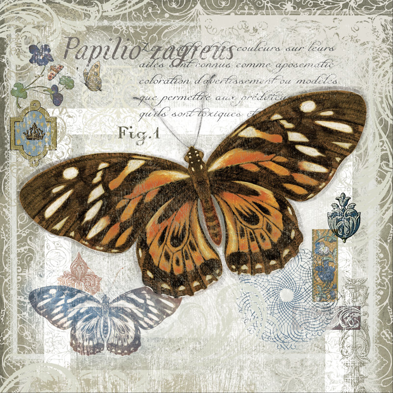 Butterfly Artifact I by Alan Hopfensperger - Wrapped Canvas Print, 51cm H x 51cm W