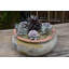 Pots de fleurs bas Parco en terre cuite à bord arrondi, lot de 3 - Intérieur/Extérieur-1467931387