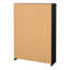 12 Pair Shoe Storage Cabinet-363030082