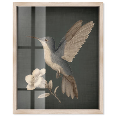 Vintage Ornithology Shadowbox Print Farmhouse Wall Art by Art Remedy, Blonde Frame, 24 x 30