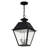 Fraida Bulb Outdoor Hanging Lantern-22670232