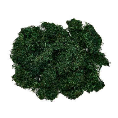 Green Moss for Crafts, Artificial Moss for Potted Plants