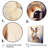 Sweet Rabbit I - Rabbit Canvas Prints-1714261910-1714261904