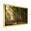 «Sunshine Through the Trees in the Woods», reproduction sur toile encadrée-217253362-217253367