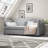 Doab Upholstered Daybed with Trundle-20275744