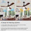 Binisha Ceiling Fan with LED Lights