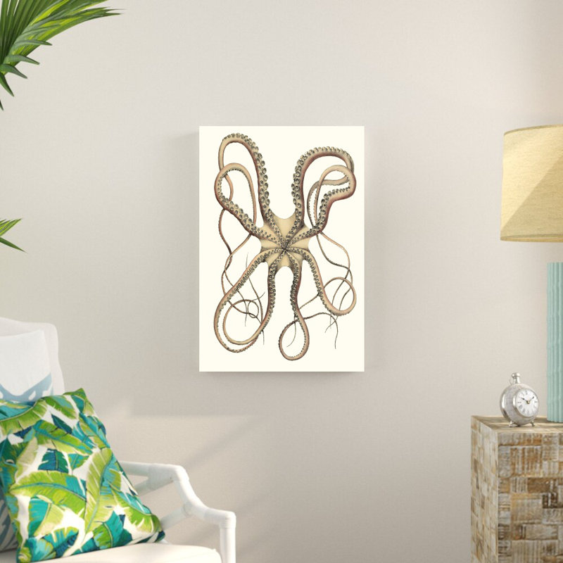 Collection de poulpe antique IV, H 30 po x l 20 po