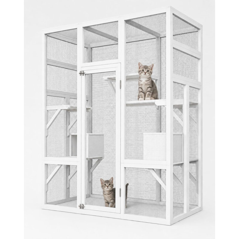 Cat House, White