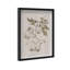 Oliver Gal Illustration of Flowers Floral and Botanical - Luxury Shadowbox Framed Wall Art-1523304294-1523304293