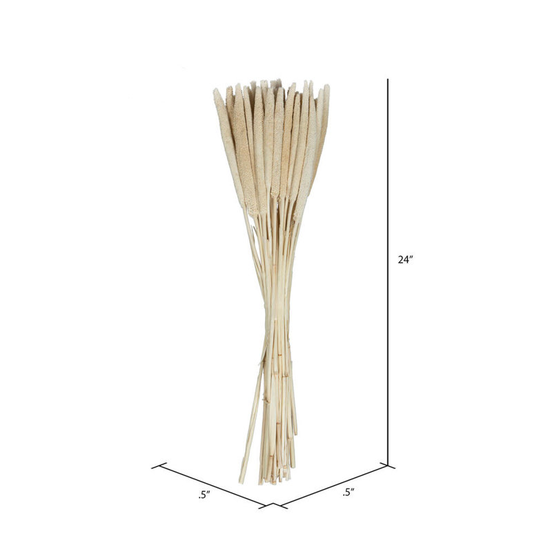 1'' Plant