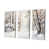 Toile tendue