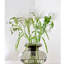 Daralynn Glass Table Vase-1741628544-1741628557