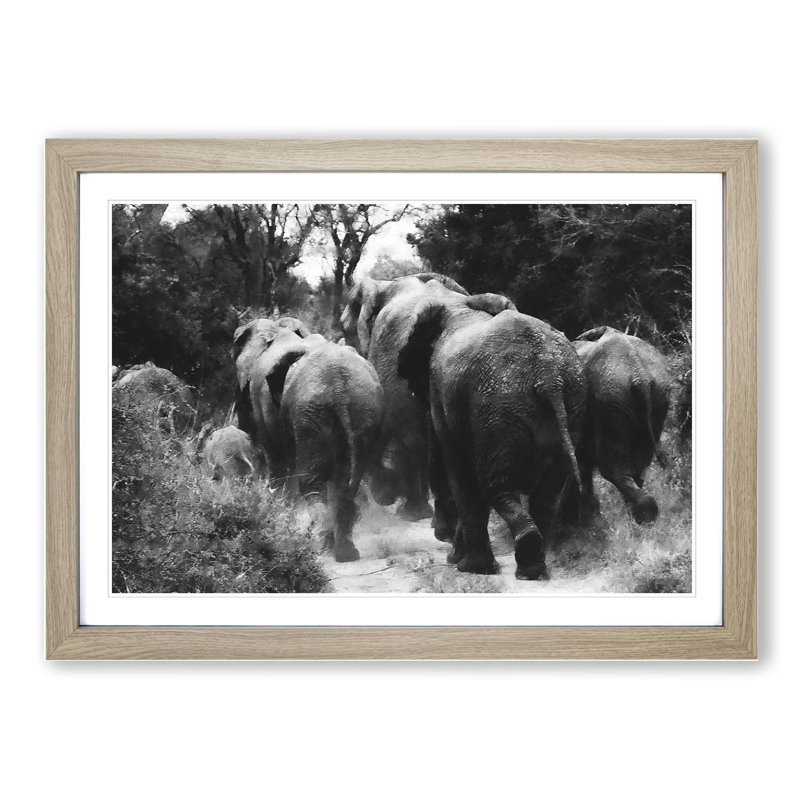 Herd of Elephants - Framed Print, 48cm H x 65cm W x 2cm D, Oak Framed