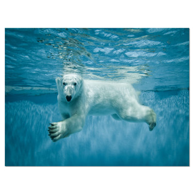 Ours polaire nageant sous l'eau - reproduction de photo sur toile