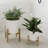 Elayna Ceramic Planter with Wood Stand-345133210-345935326