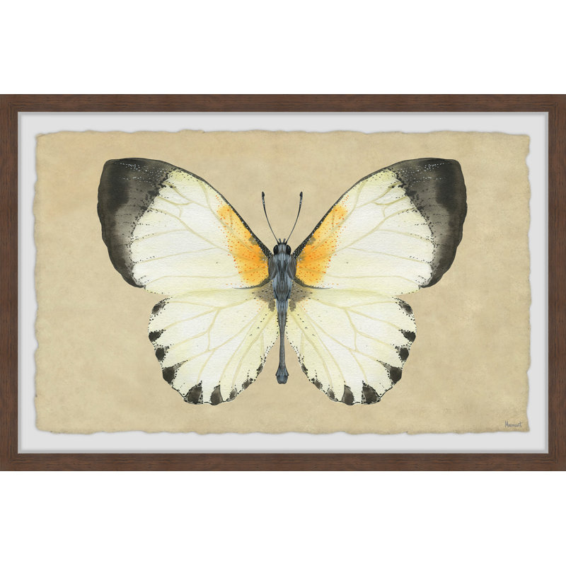 Delicate Beauty - Single Picture Frame Print, 61cm H x 91cm W x 3.81cm D