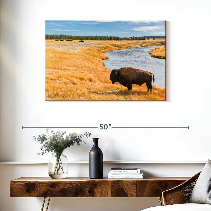 Bison du parc national Brampt, H 24 po x l 36 po