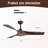 Kemp 52'' 3-Blade Standard Ceiling Fan with Remote Control，Black&Brown-814519572