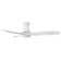 Swell 56'' Ceiling Fan with LED Lights