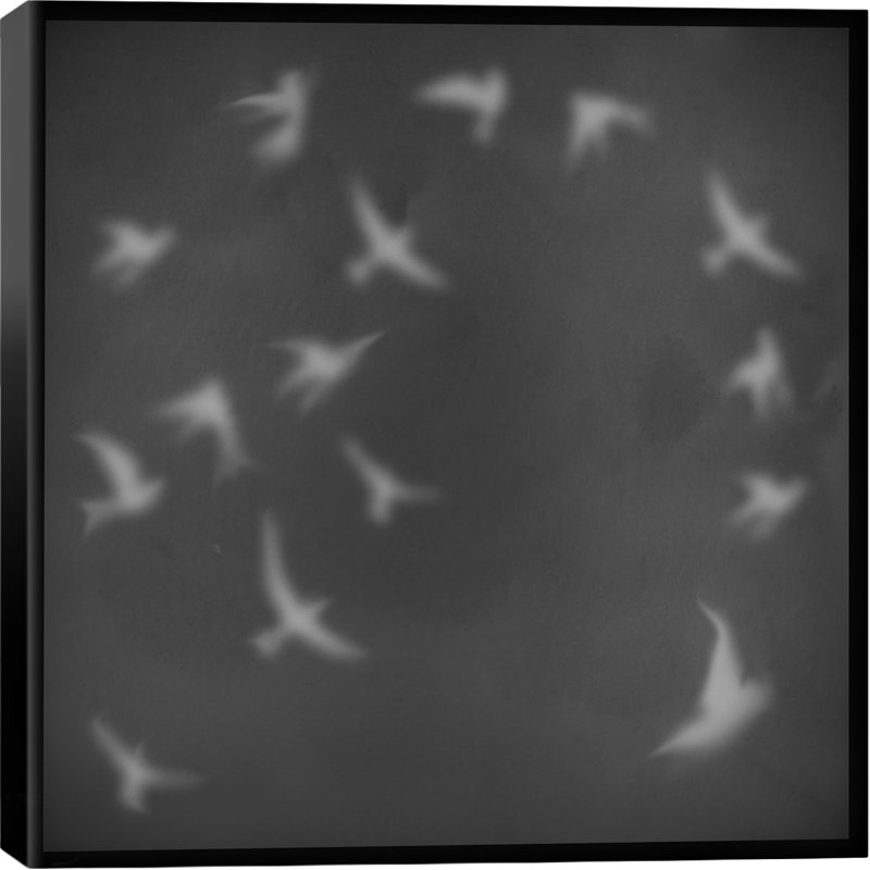 Albree Modern, vol d'oiseaux, impression sur toile, H 26 po x l 26 po x P 1,5 po, Toile tendue, Non mat