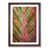 Walnut Framed selected