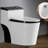 WATERMONY 1.6 Gallons GPF Elongated Comfort Height Floor Mounted One-Piece Toilet (Seat Included)