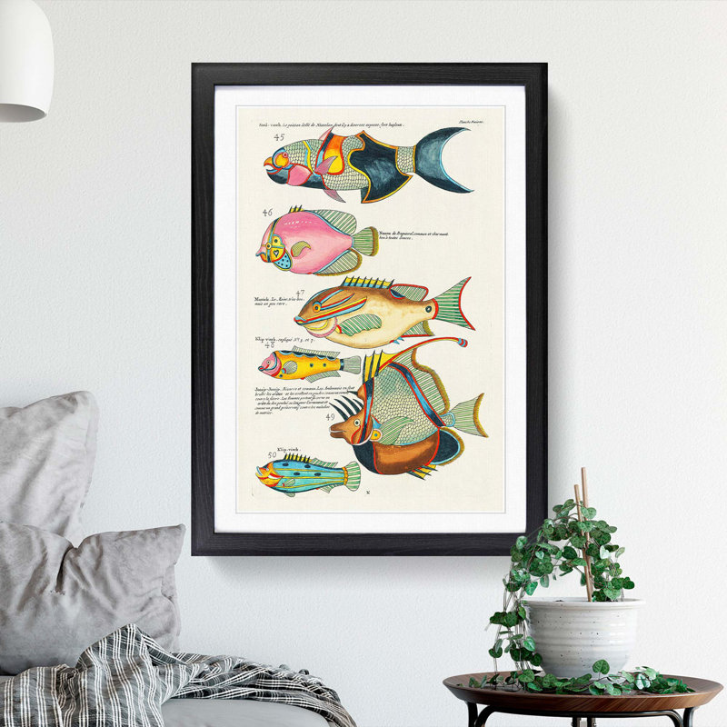 East Indies Fish Illustrations Dixieme K by Louis Renard - Picture Frame Painting Print, 65cm H x 48cm W x 2cm D